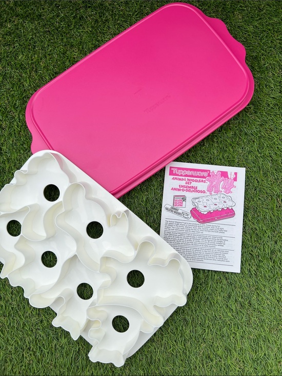 Tupperware Other - VINTAGE Tupperware Animal Wigglers Set Jello/Cookie Mold With Instructions 90s